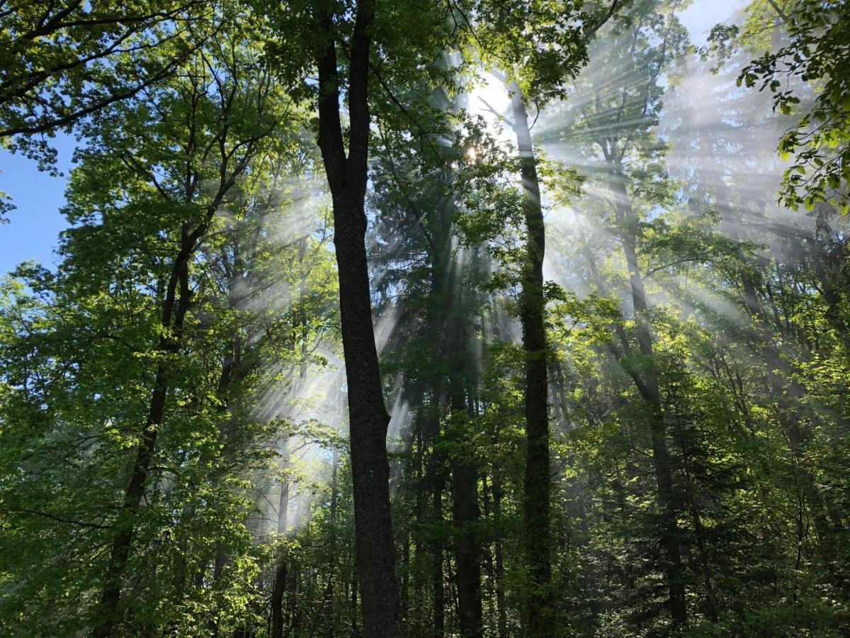 Camping Osenbach Экстерьер фото