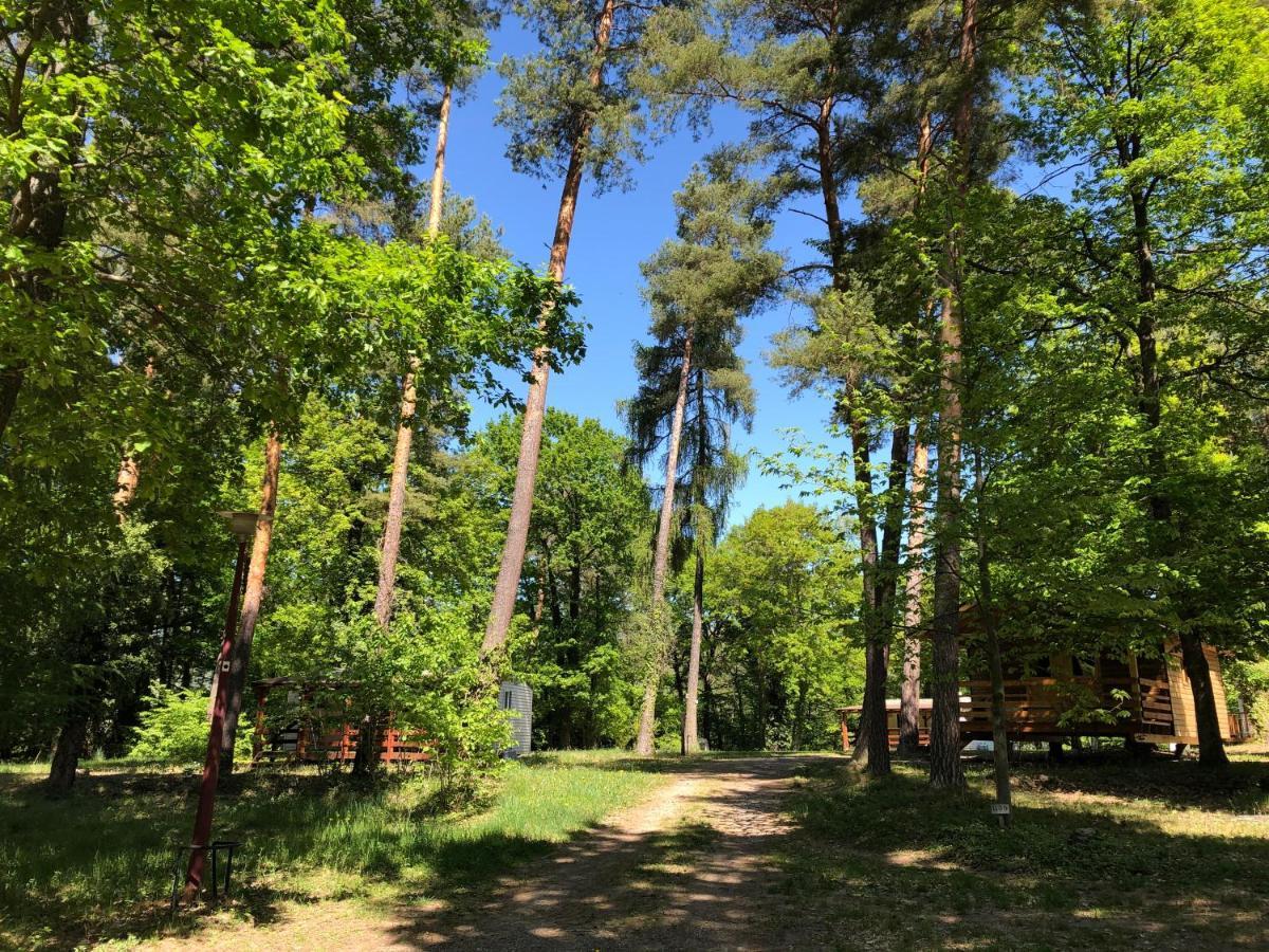 Camping Osenbach Экстерьер фото